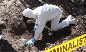 Descubren seis fosas clandestinas con restos humanos en Colima, México