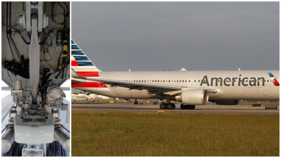 ¡Impactante Aterrizaje! El Vuelo 837 y su Encuentro Cercano con un Ave