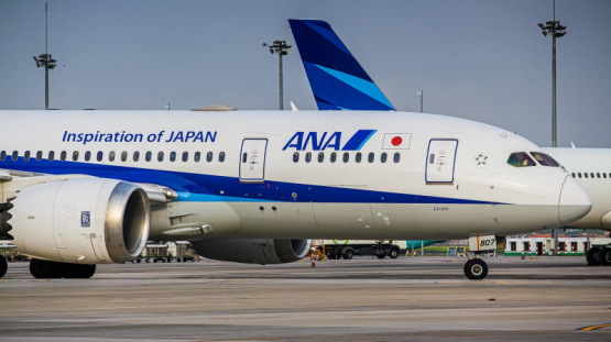 ¿Qué sucedió en el vuelo de All Nippon Airways?